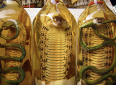 There Is No Such Thing as Leadership Skills