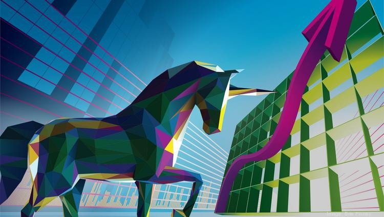 Chasing Future Unicorns