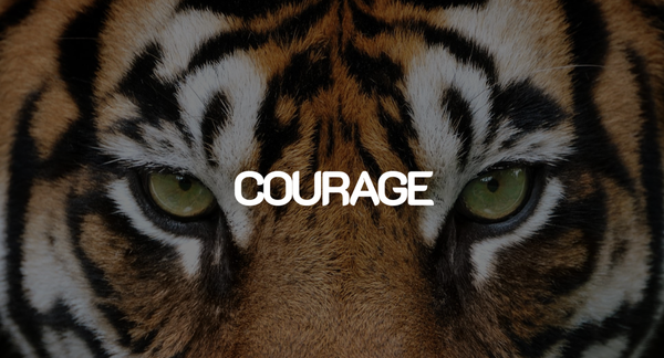 Eliminating Mini-Fears For Effective Teaming